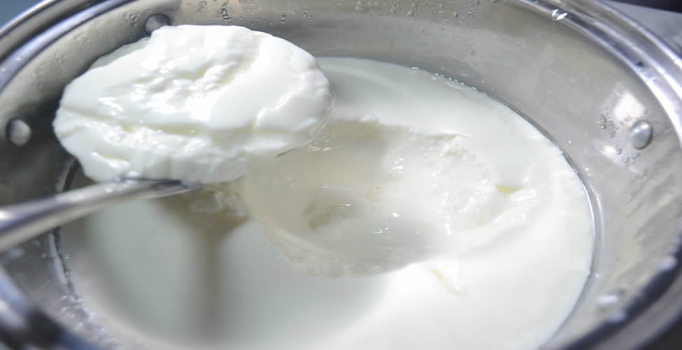 Cómo hacer yogur casero