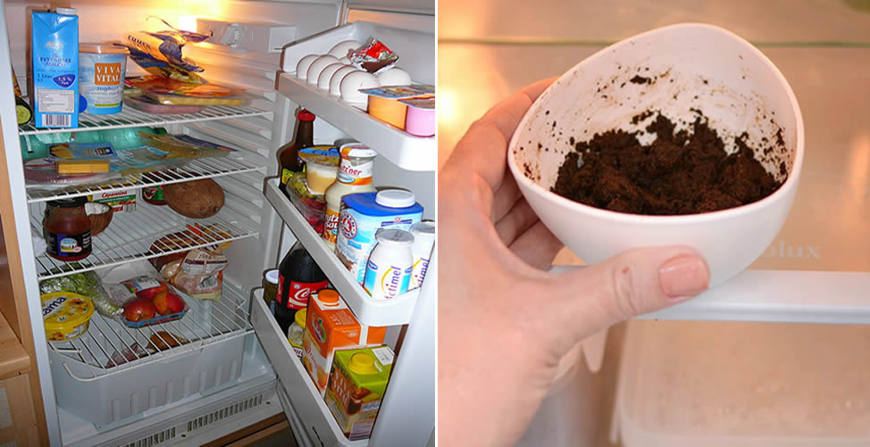 Como quitar el mal olor del refrigerador